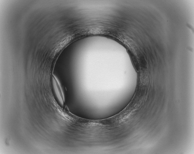 X0000098110393200804181458