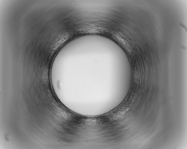 X0000098110394200804181458