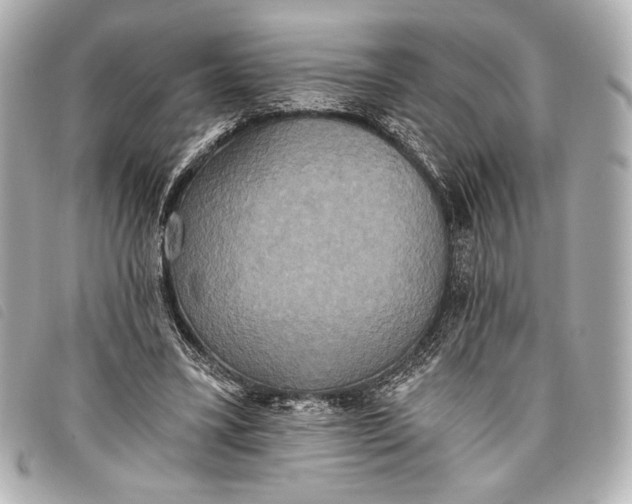 X0000098110395200804181457
