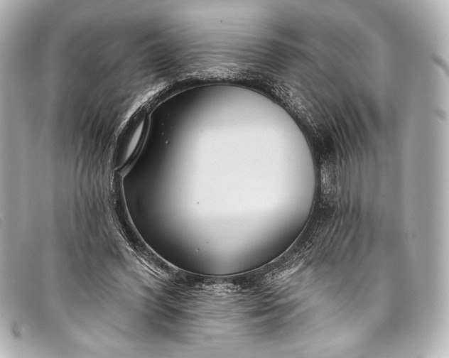X0000098110396200804181457