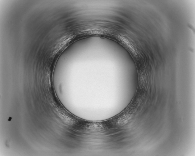 X0000098110398200804181457