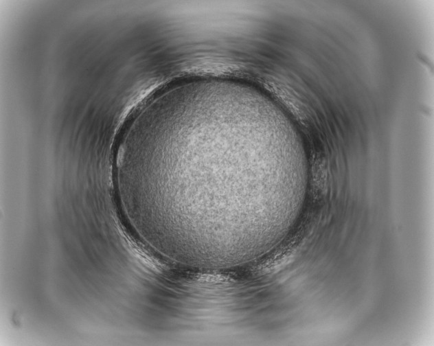 X0000098110399200804181457