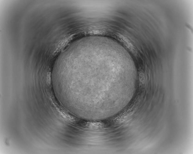 X0000098110401200804181457