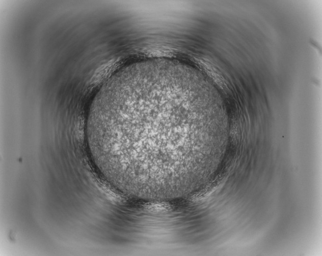 X0000098110402200804181457