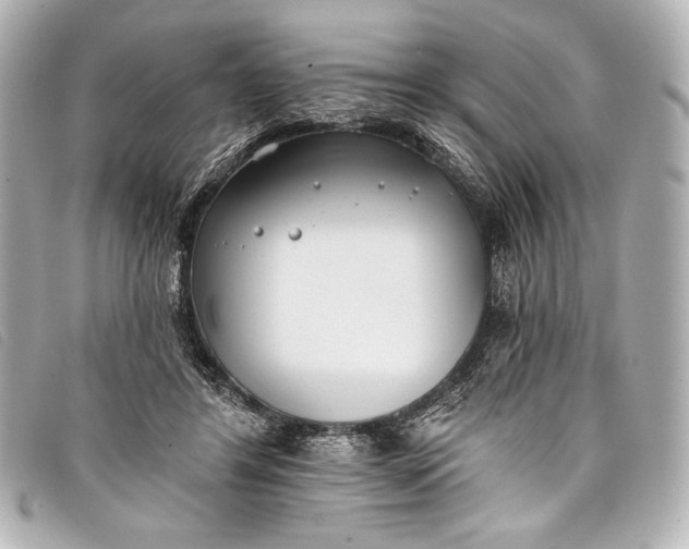 X0000098110404200804181457