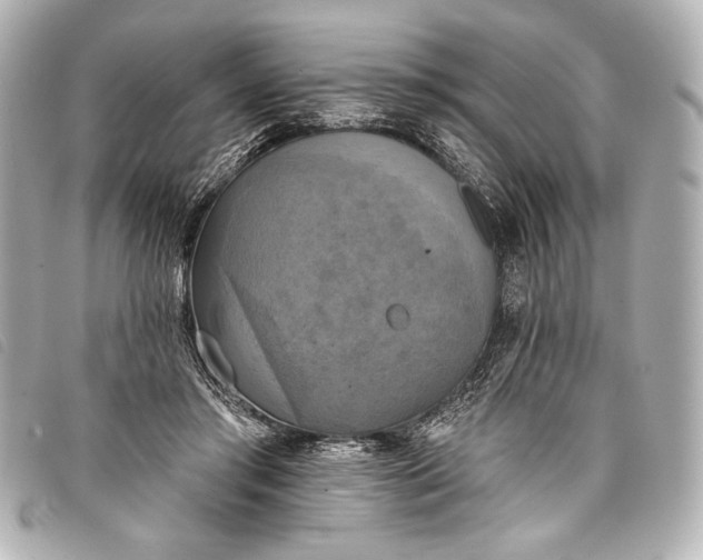 X0000098110405200804181457