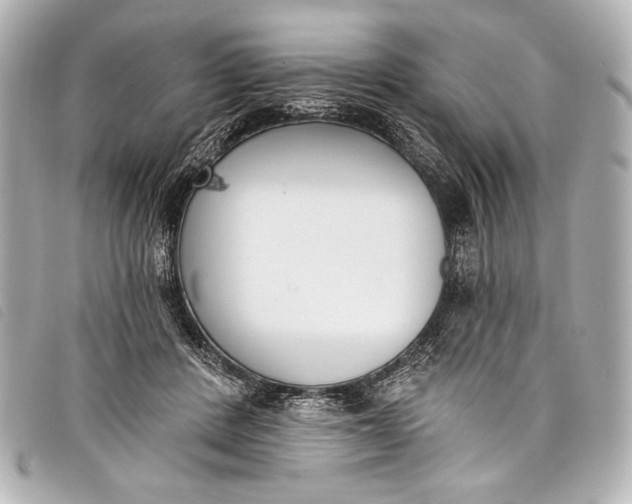 X0000098110408200804181457