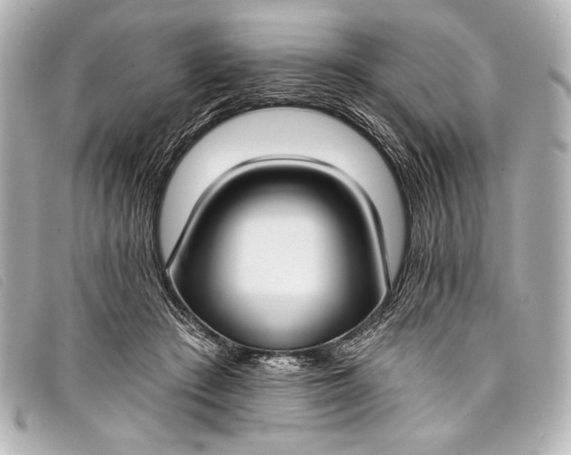 X0000098110409200804181457
