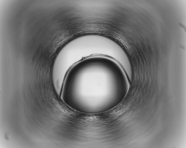 X0000098110411200804181457