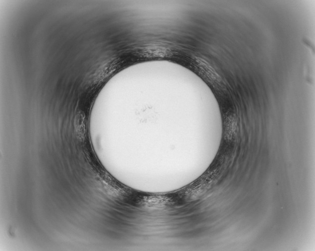 X0000098110414200804181457