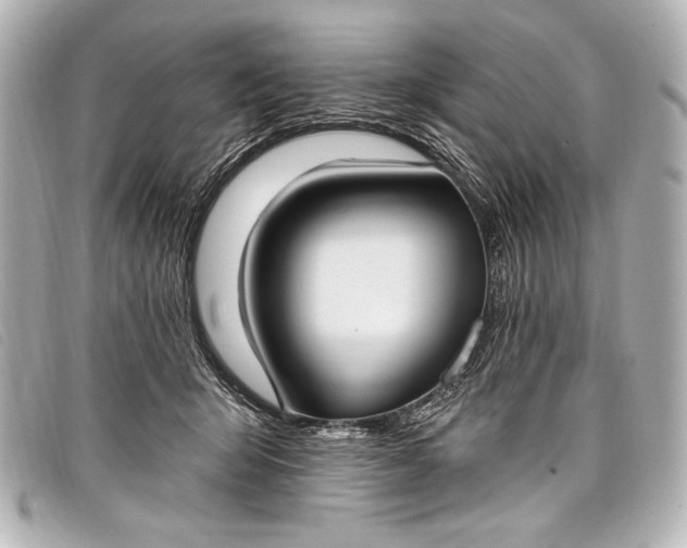 X0000098110415200804181457