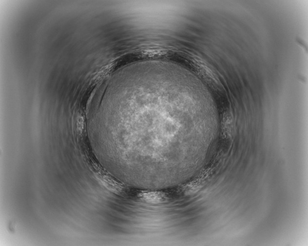 X0000098110417200804181457