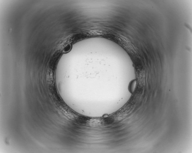 X0000098110418200804181457