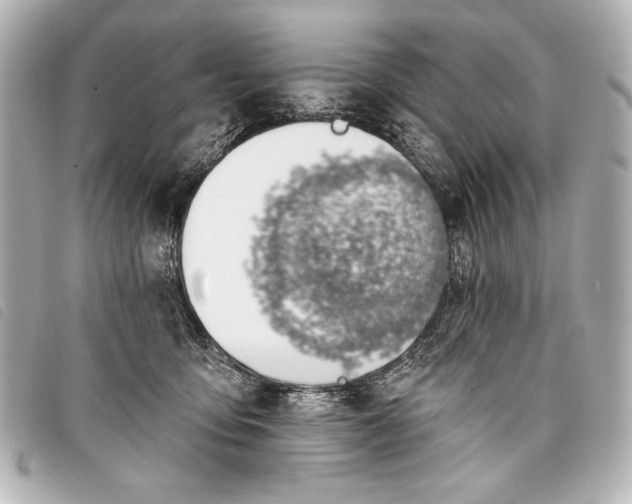 X0000098110419200804181457