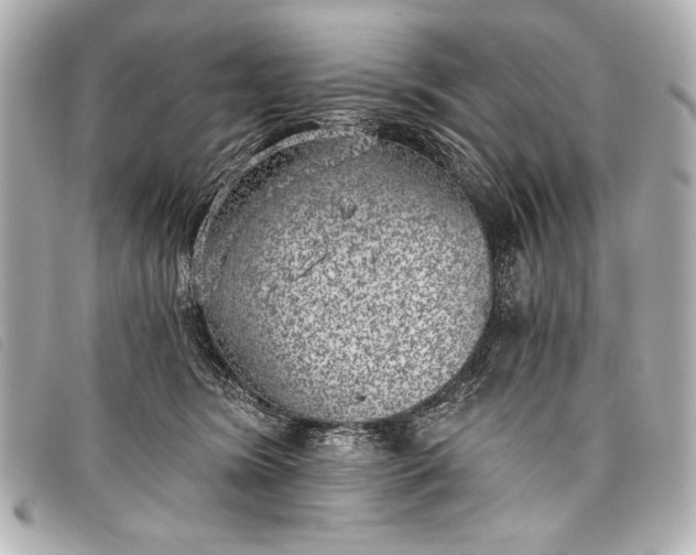 X0000098110420200804181457