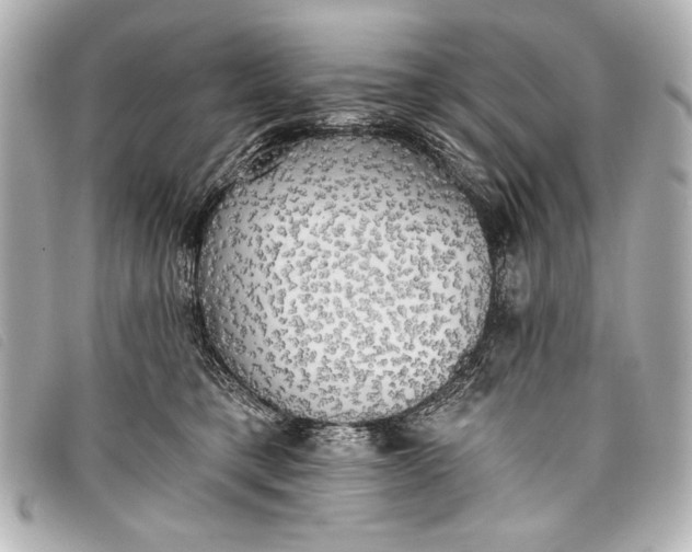 X0000098110421200804181457
