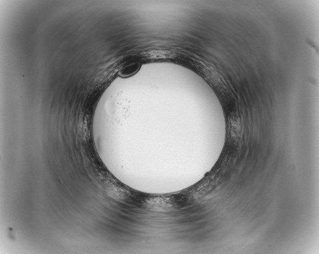 X0000098110422200804181457