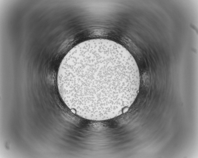 X0000098110423200804181457