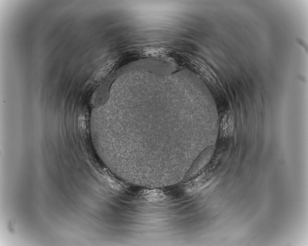 X0000098110424200804181457