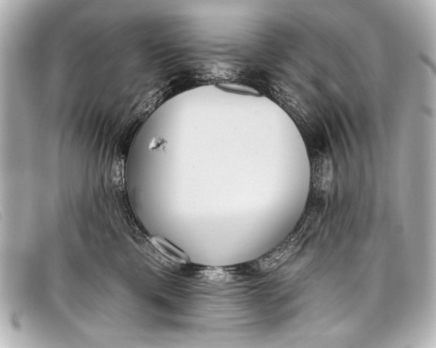 X0000098110425200804181457