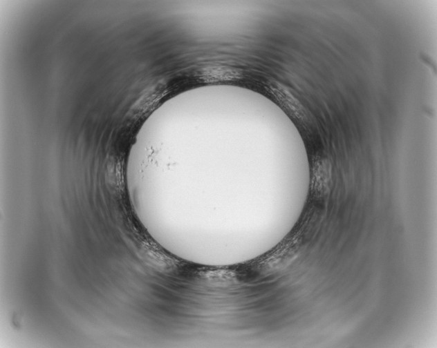 X0000098110426200804181457