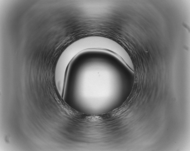 X0000098110427200804181457