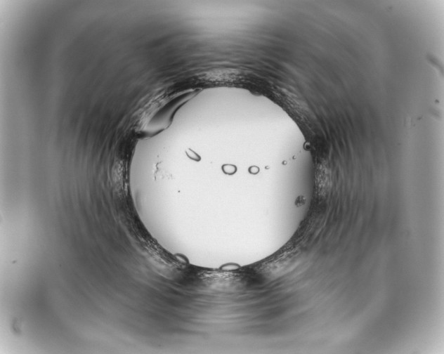 X0000098110428200804181457