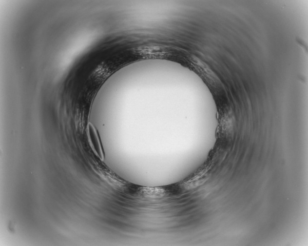 X0000098110429200804181457