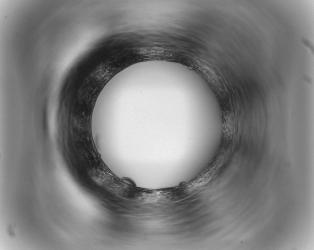 X0000098110430200804181457