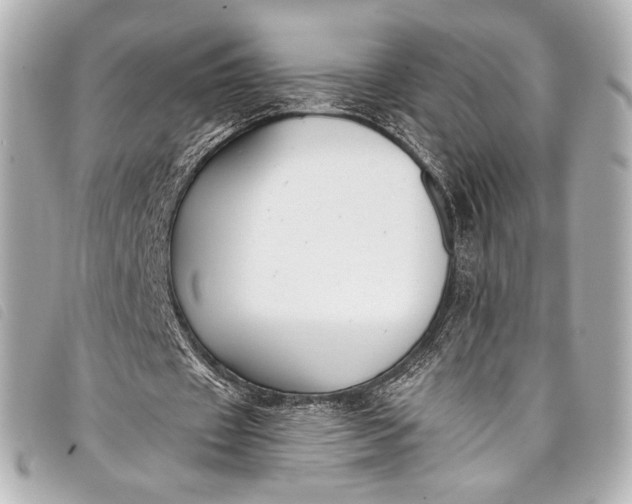 X0000098110433200804181456