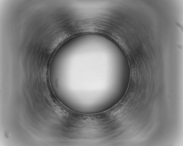 X0000098110434200804181456