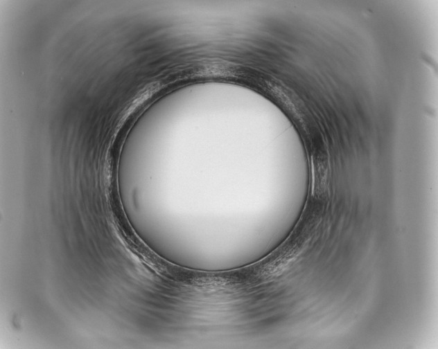 X0000098110435200804181456