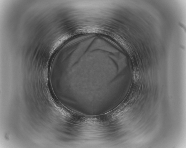 X0000098110438200804181456