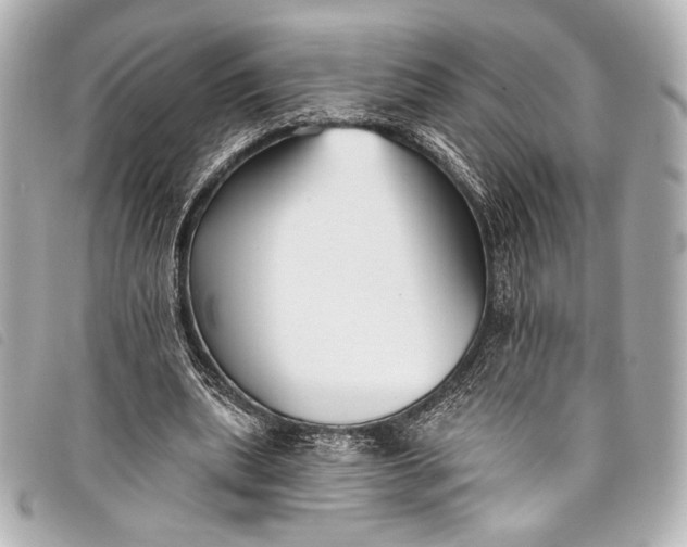 X0000098110439200804181456