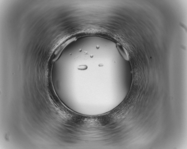 X0000098110440200804181456