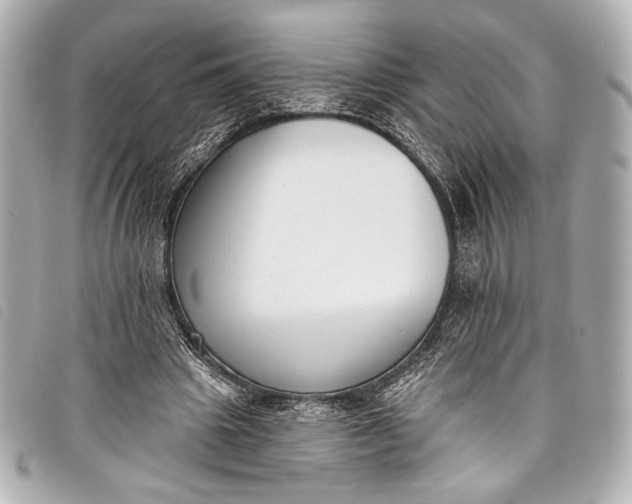 X0000098110441200804181456