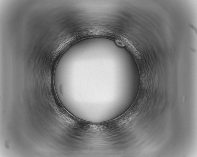 X0000098110442200804181456