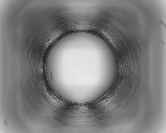 X0000098110443200804181456