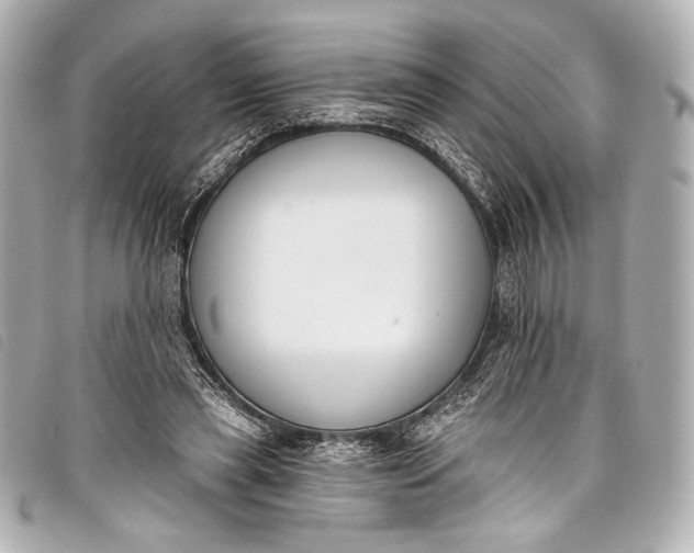 X0000098110445200804181456