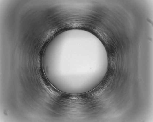 X0000098110447200804181456