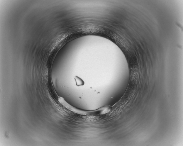X0000098110448200804181456