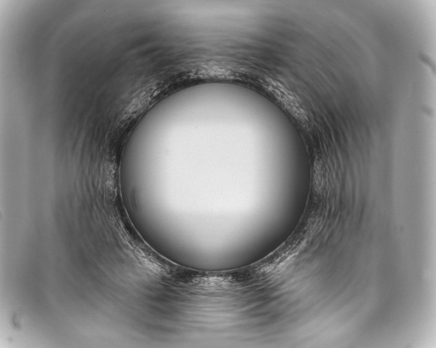 X0000098110449200804181456