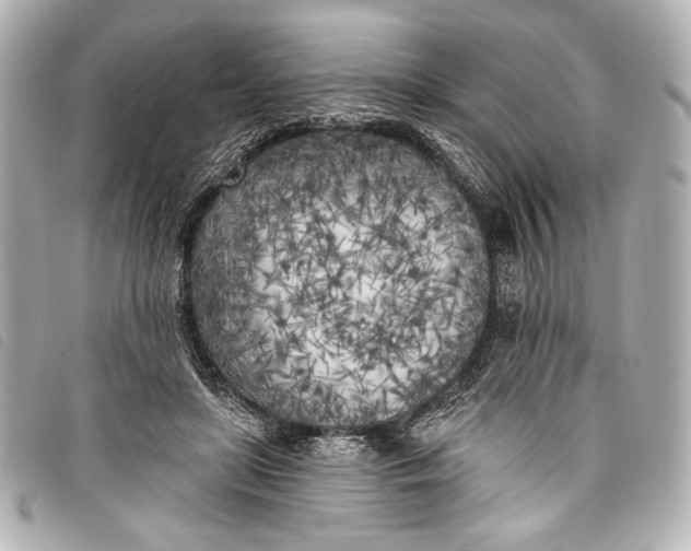 X0000098110451200804181456