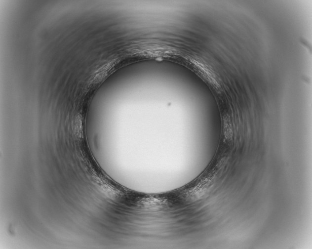 X0000098110453200804181456