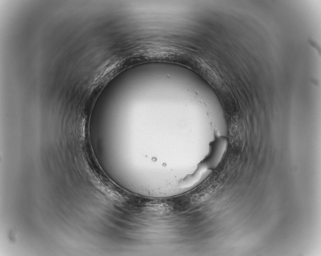 X0000098110454200804181456