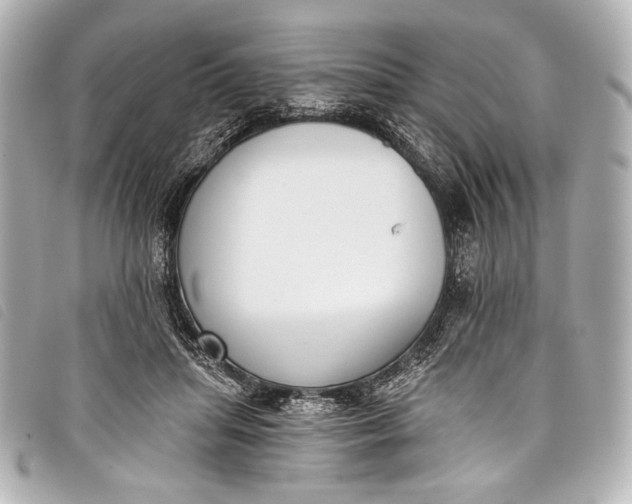 X0000098110455200804181456