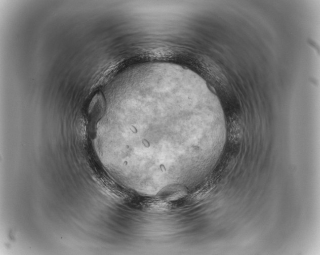 X0000098110456200804181456