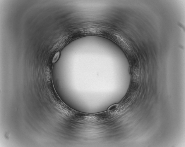 X0000098110457200804181456