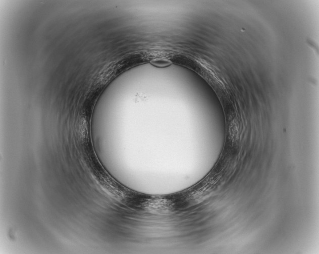 X0000098110459200804181456