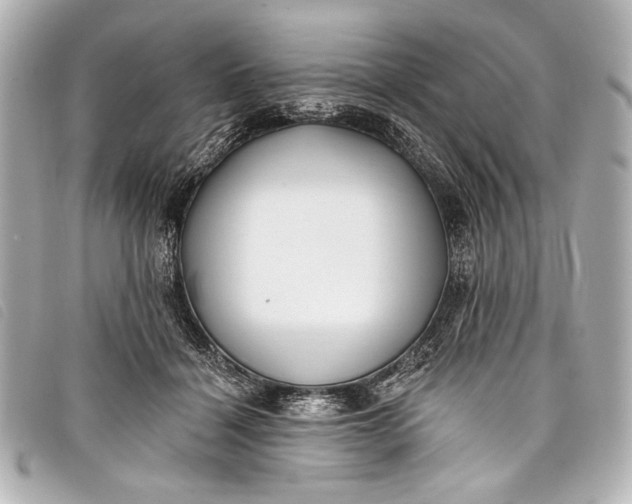 X0000098110460200804181456